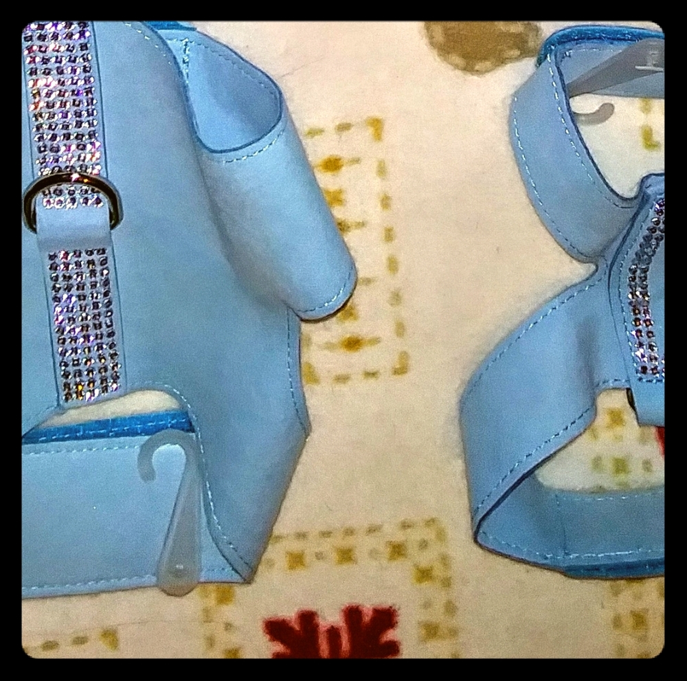 Dog harness and leash